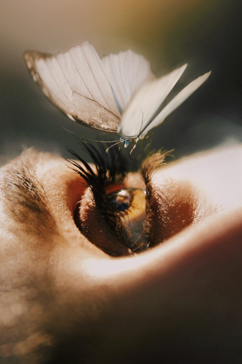 Surreal shooting